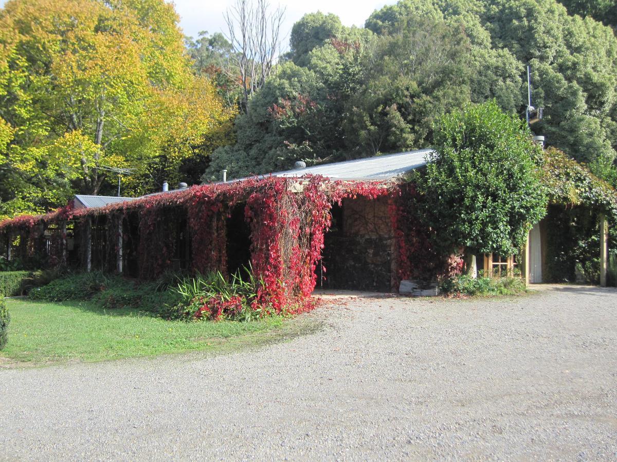 Dandenong Ranges Cottages The Patch 外观 照片