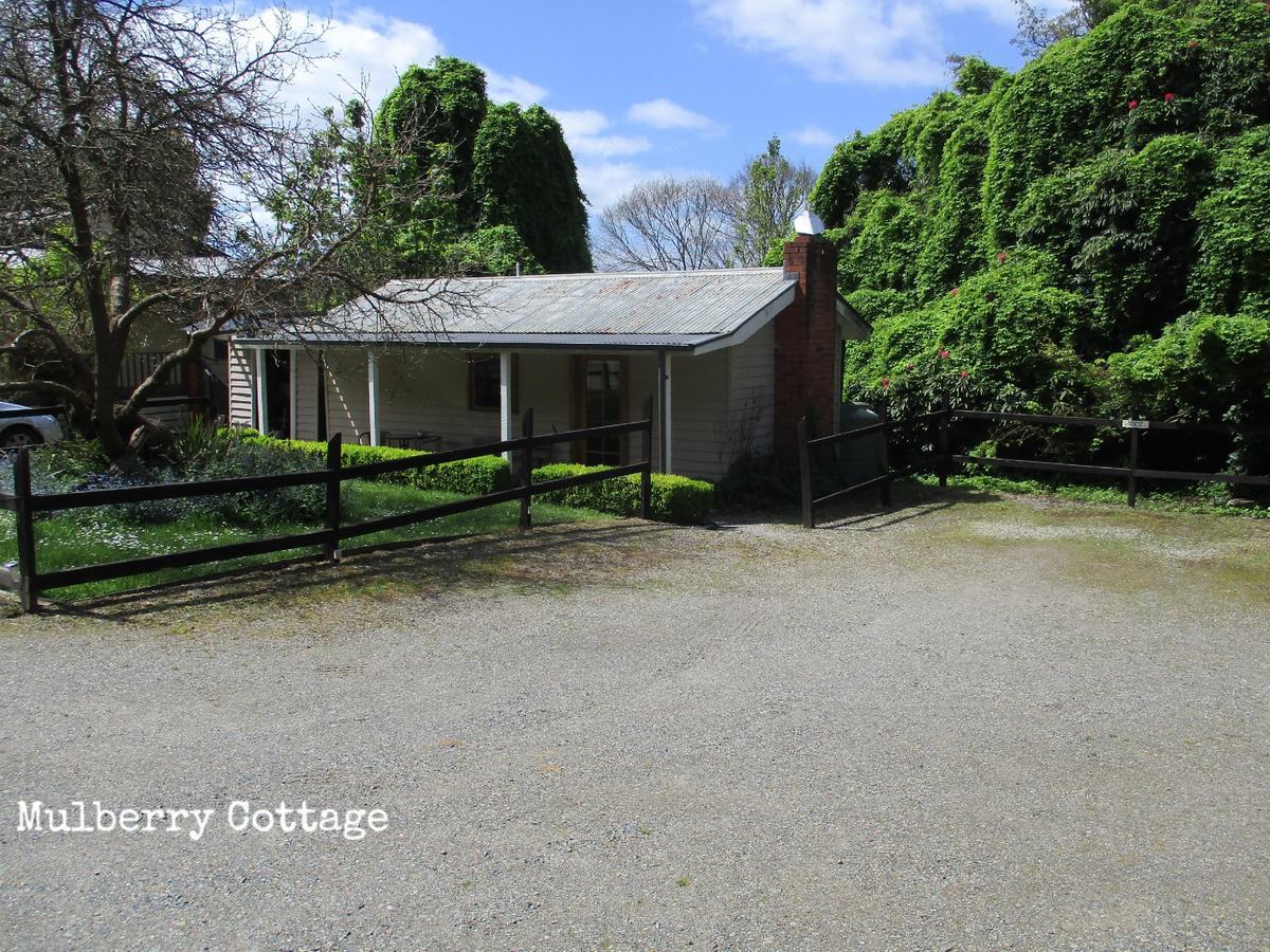 Dandenong Ranges Cottages The Patch 外观 照片