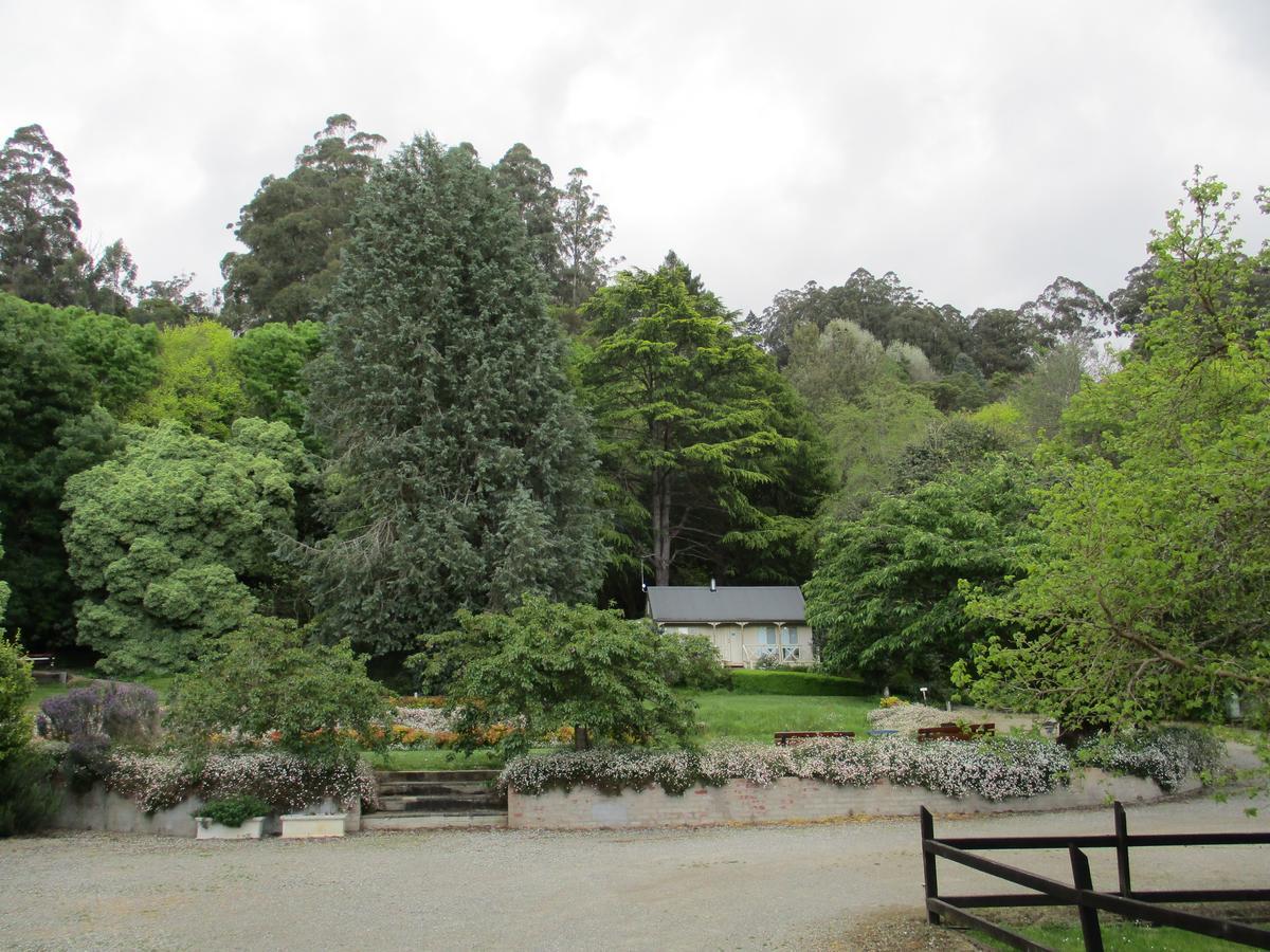 Dandenong Ranges Cottages The Patch 外观 照片