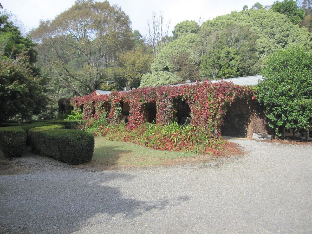 Dandenong Ranges Cottages The Patch 外观 照片
